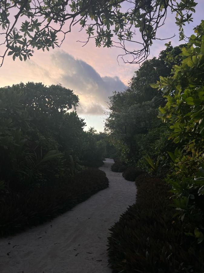 Lagoon Villa Maldives Thoddoo Kültér fotó