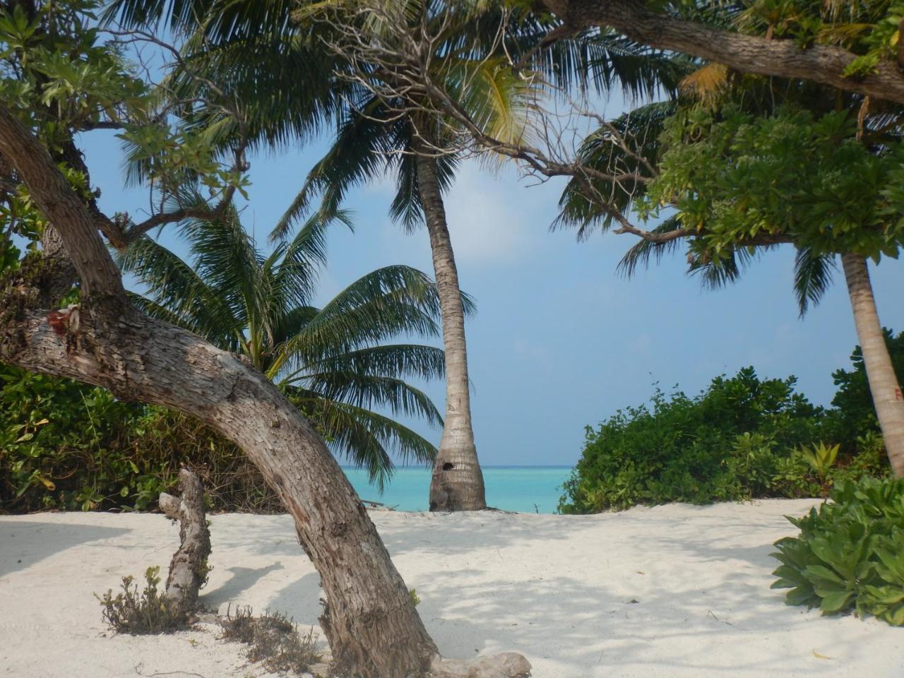 Lagoon Villa Maldives Thoddoo Kültér fotó
